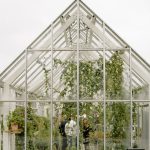 The Ultimate Greenhouse Guide