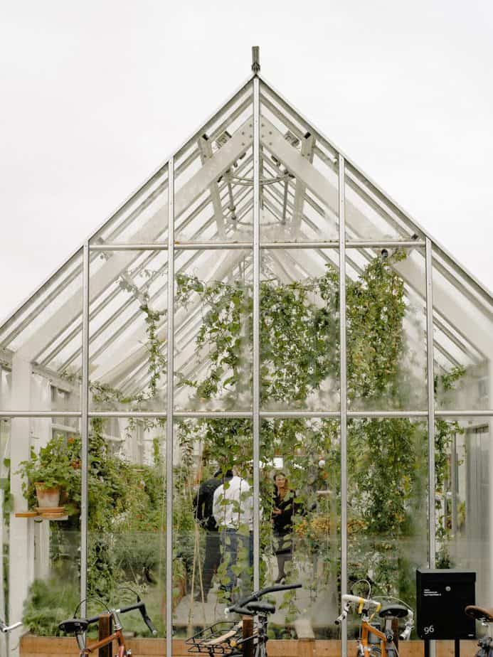 greenhouse guide
