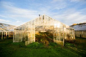 greenhouse cons