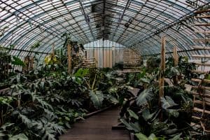 advantages and disadvantages greenhouses