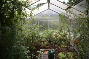 greenhouse pros and cons