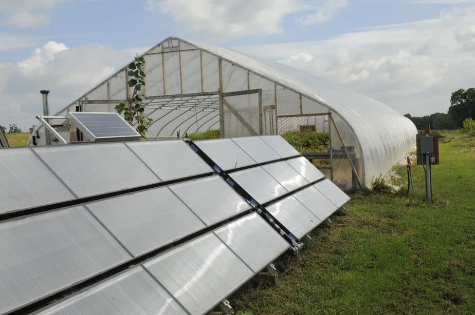 Solar Panel Placement for Greenhouses