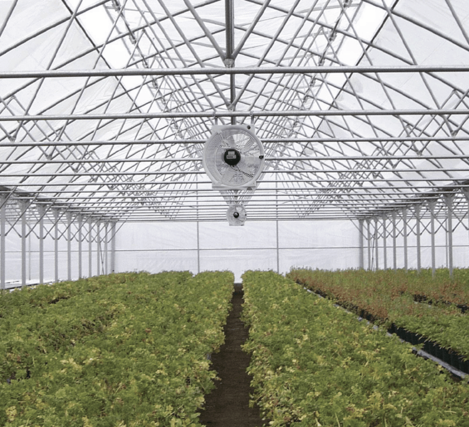 ventilating your greenhouse