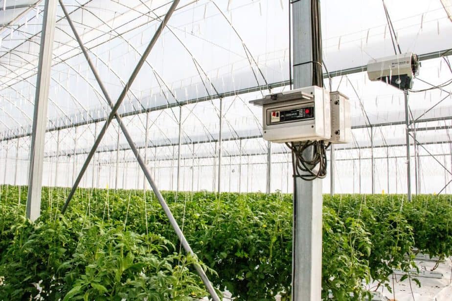Greenhouse thermostat