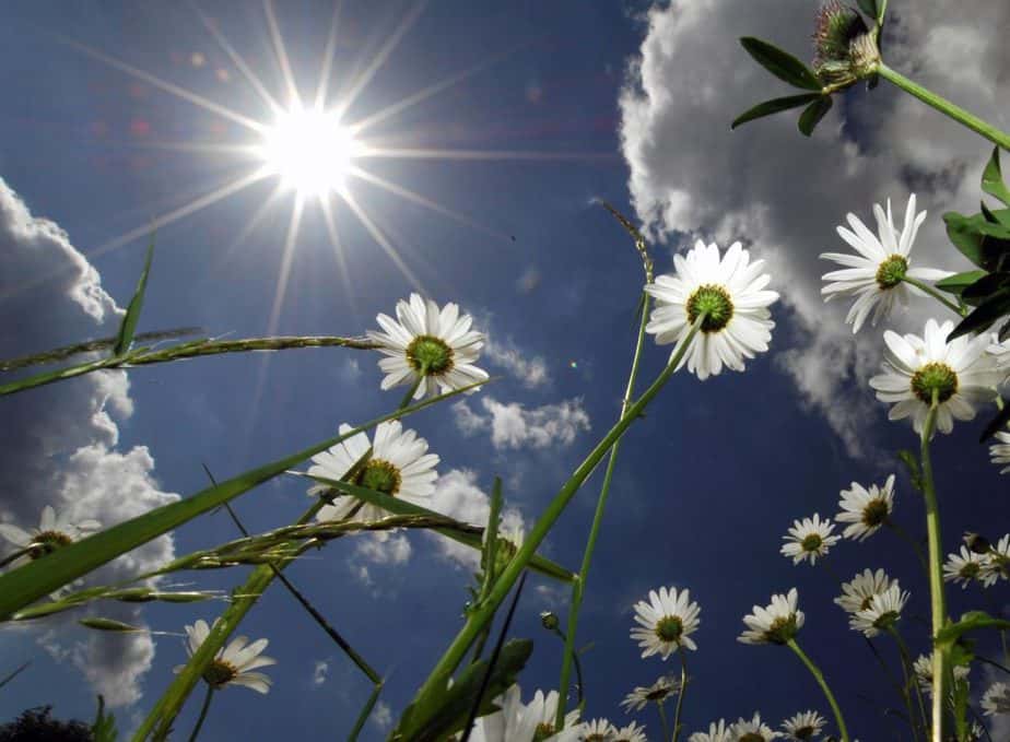 Benefits of a solar-greenhouse