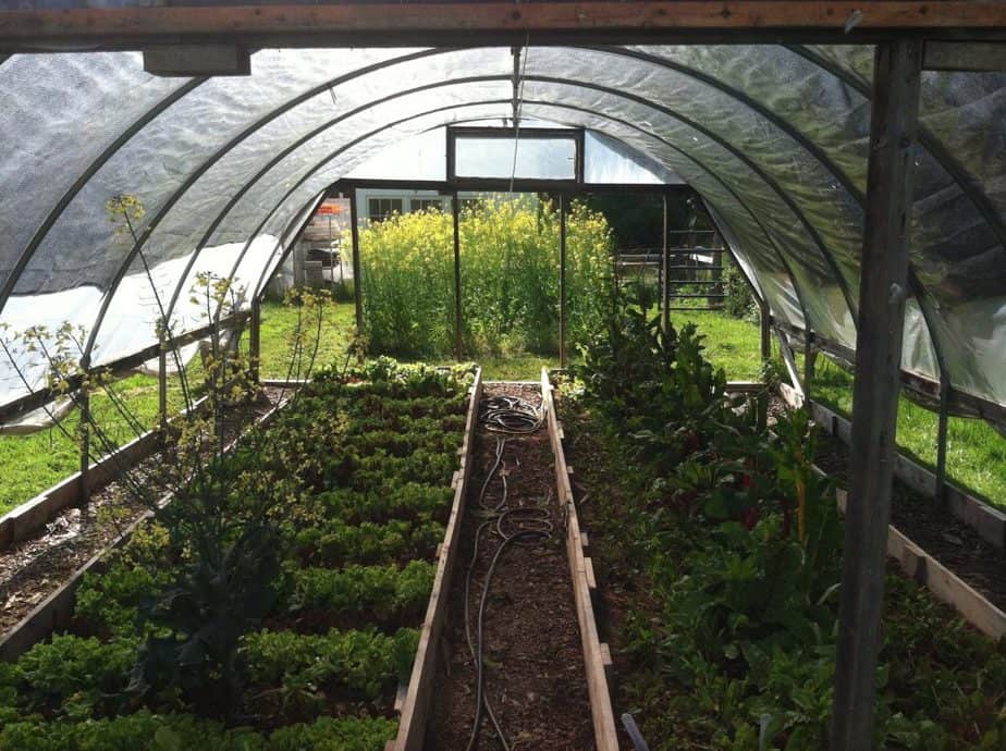 greenhouse shade cloth