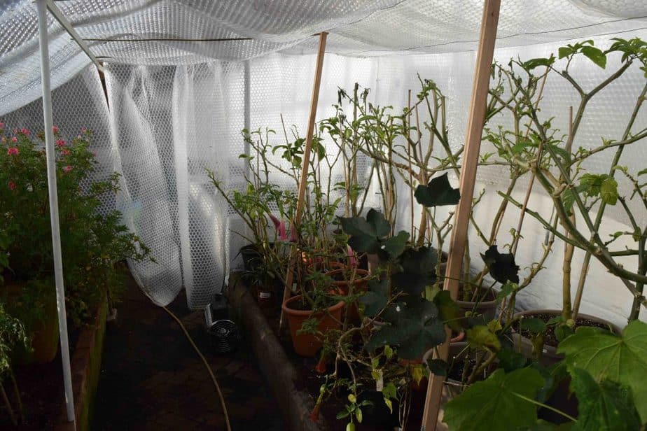 Greenhouse insulation