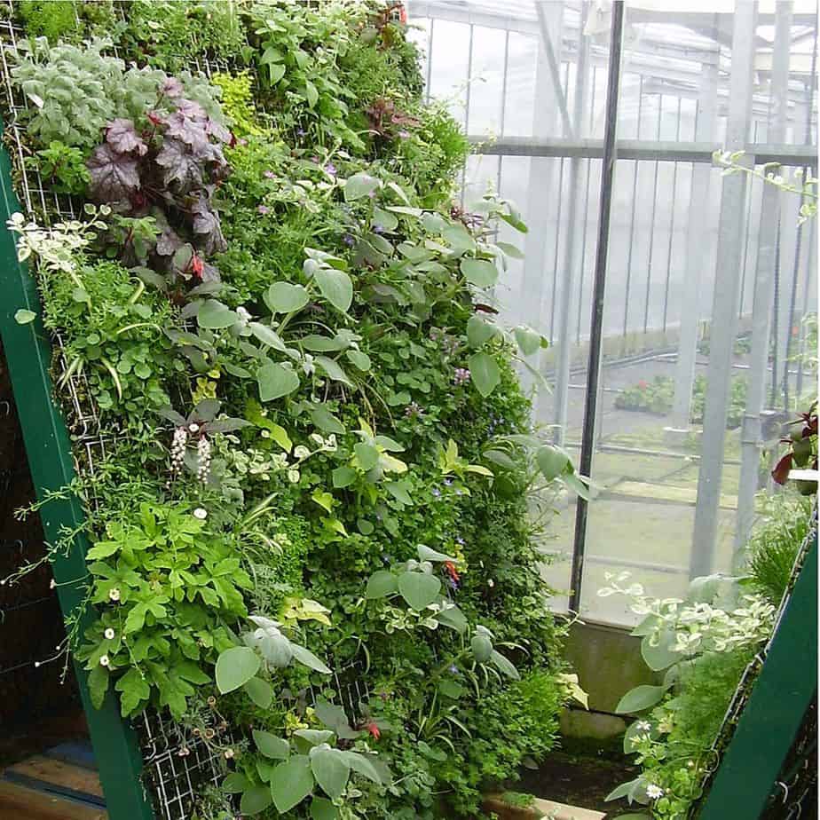 Vertical Gardening in Greenhouses