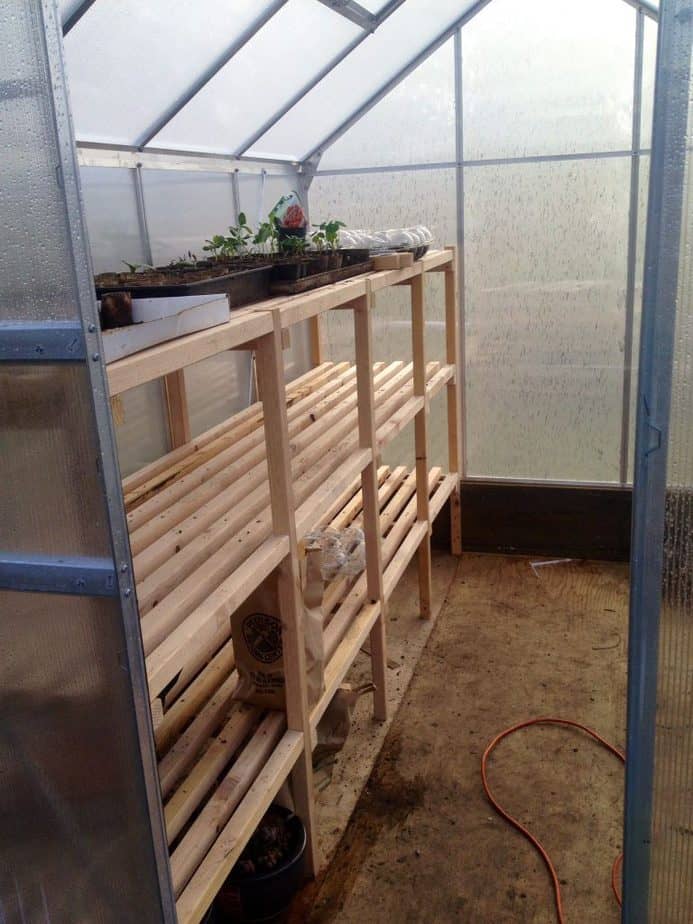 Greenhouse shelves