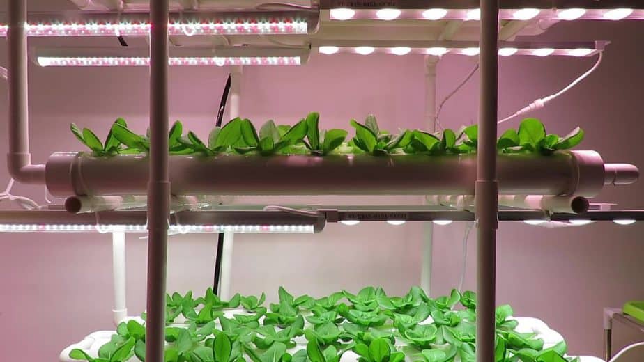 Lighting Vertical Greenhouses