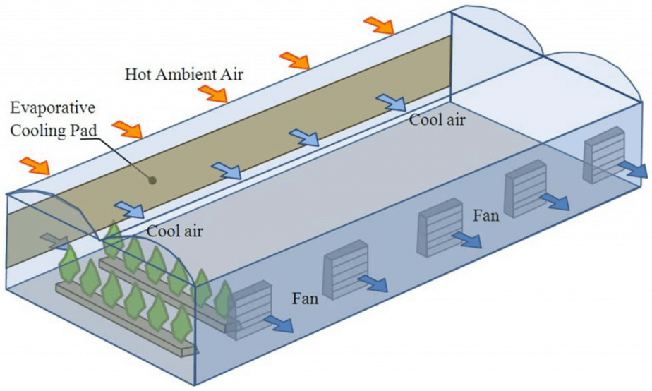 Охладить температуру в комнате. Fan Pad Cooling Greenhouse. Система испарительного охлаждения для теплиц. Система охлаждения Pad Cooling. Приточно-вытяжная вентиляция в теплице.