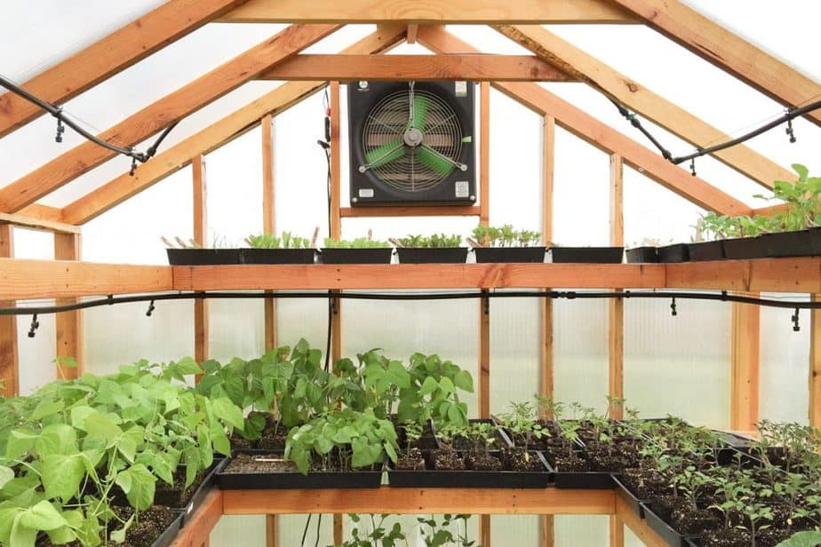 airflow greenhouse