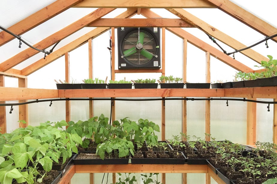 5 Tips for Greenhouse Ventilation and Cooling Greenhouse Info