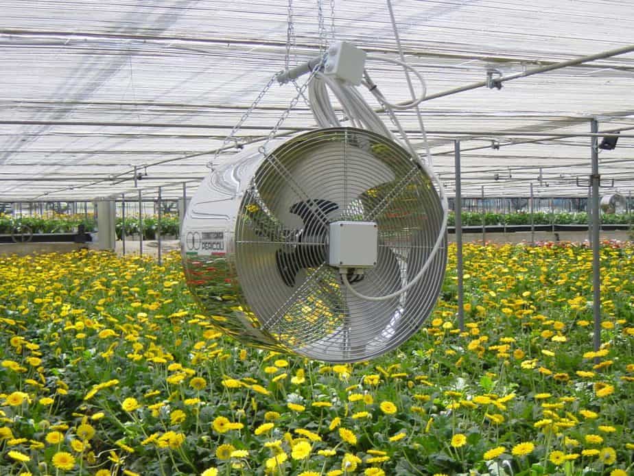 Proper greenhouse ventilation