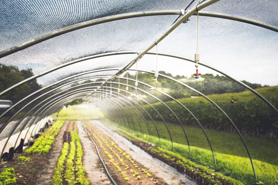 greenhouse irrigation