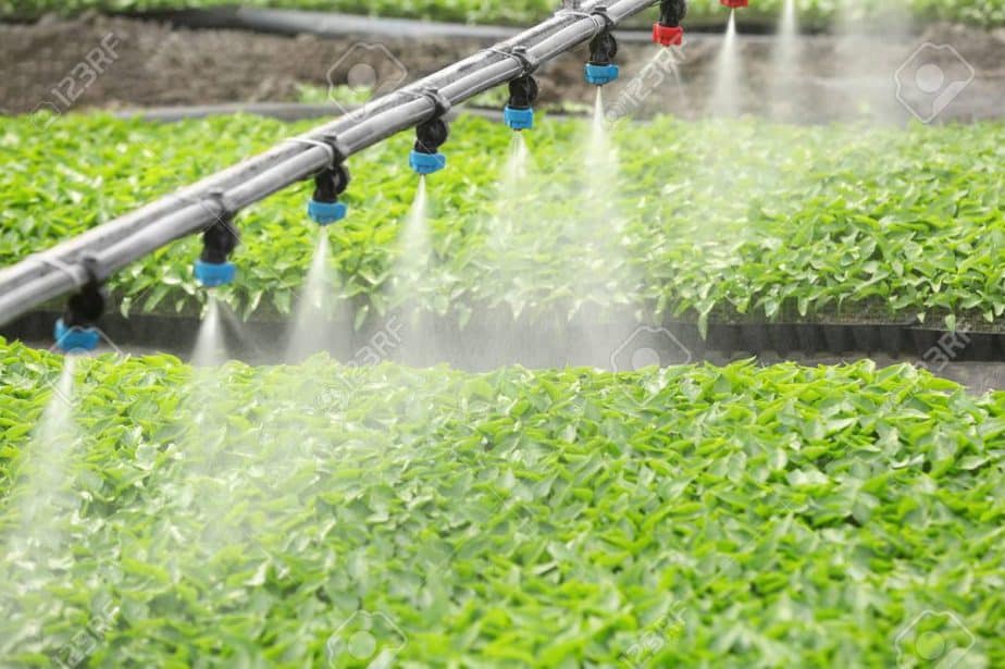 greenhouse watering