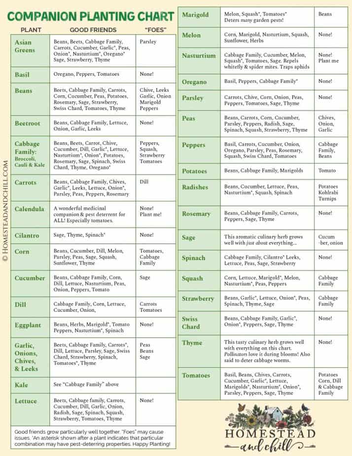 companion planting