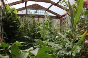 Read more about the article How Much Does A Greenhouse Cost?