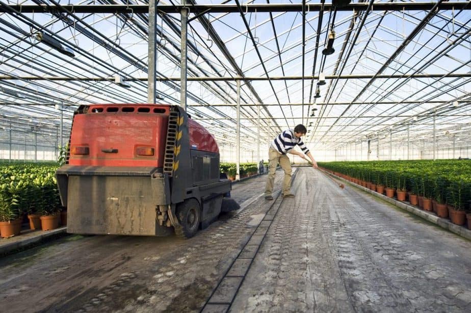 Greenhouse cleaning