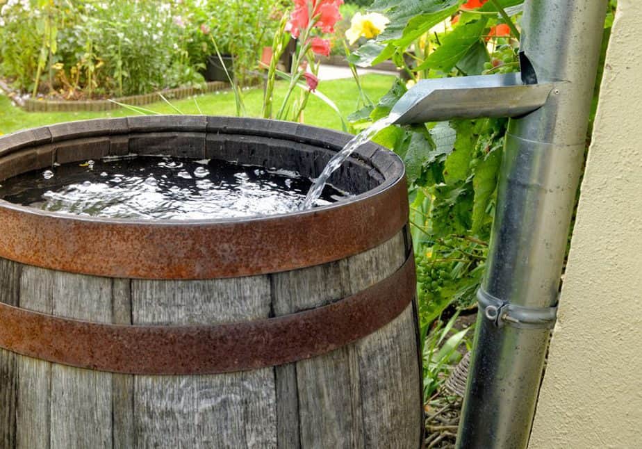 Greenhouse Rain Collection Guide Using Rain Barrels Greenhouse Info