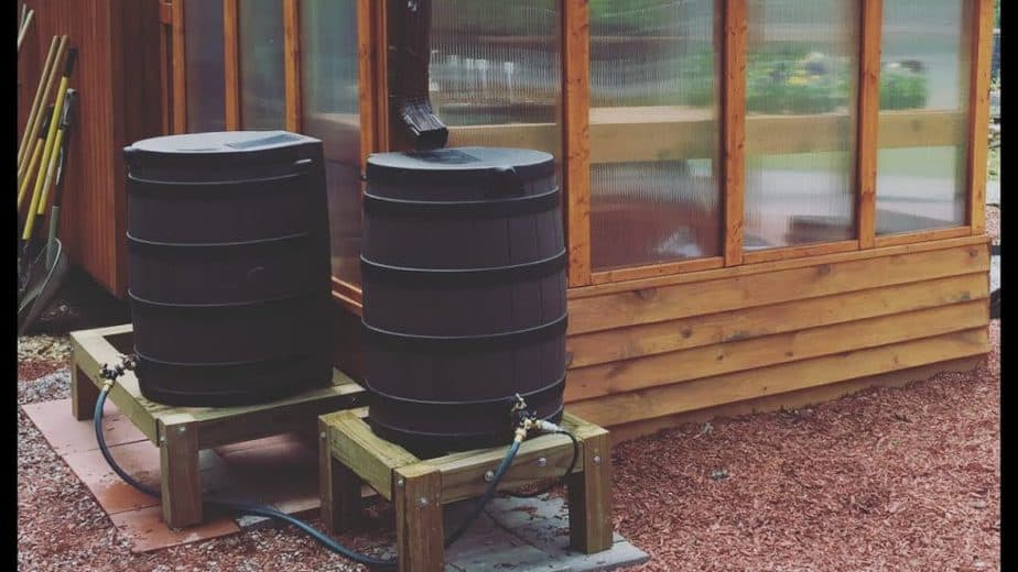 greenhouse rain barrels
