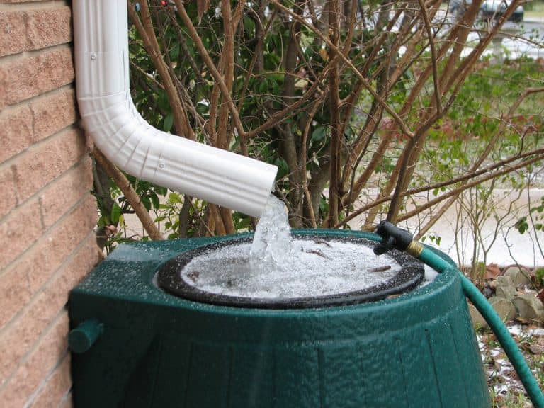 Greenhouse Rain Collection Guide: Using Rain Barrels - Greenhouse Info