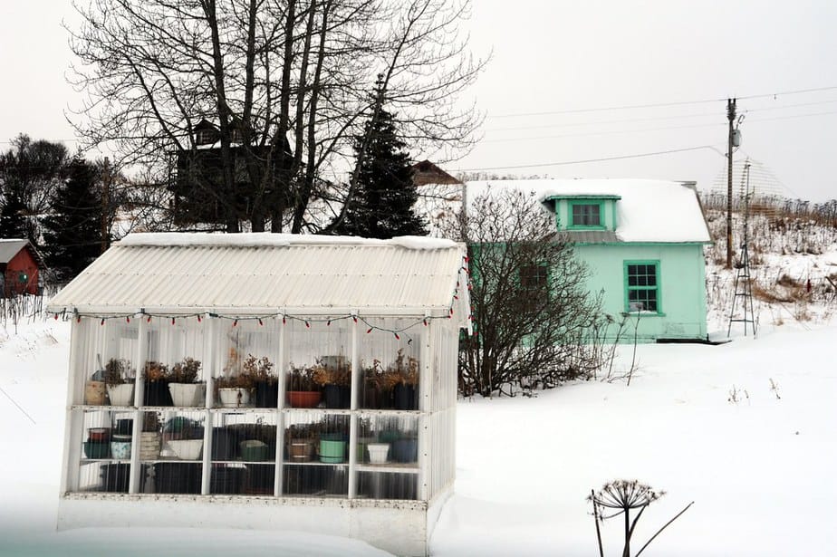 disadvantages to a backyard greenhouse