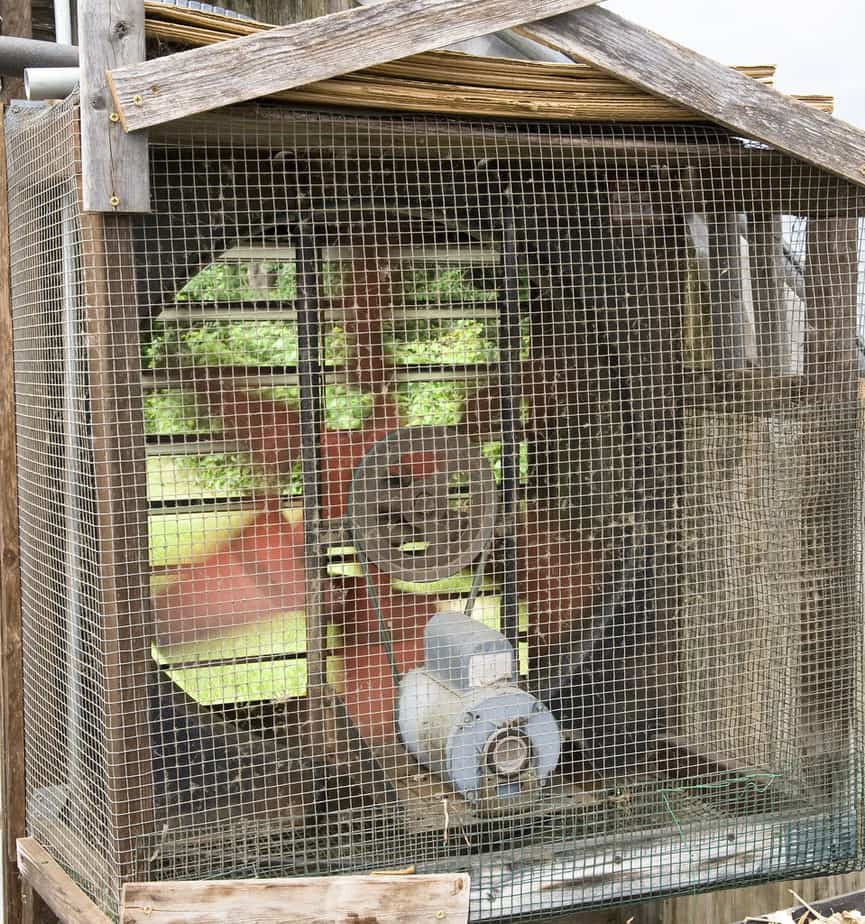 auto vents greenhouse