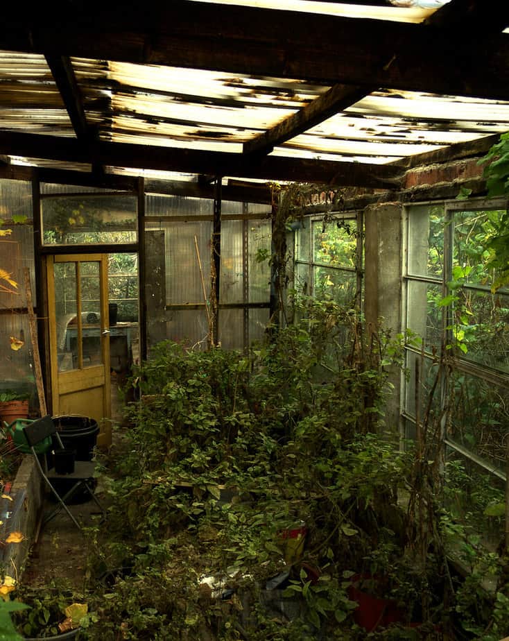 backyard greenhouse