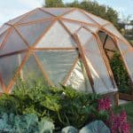 Can I Build My Own DIY Greenhouse?