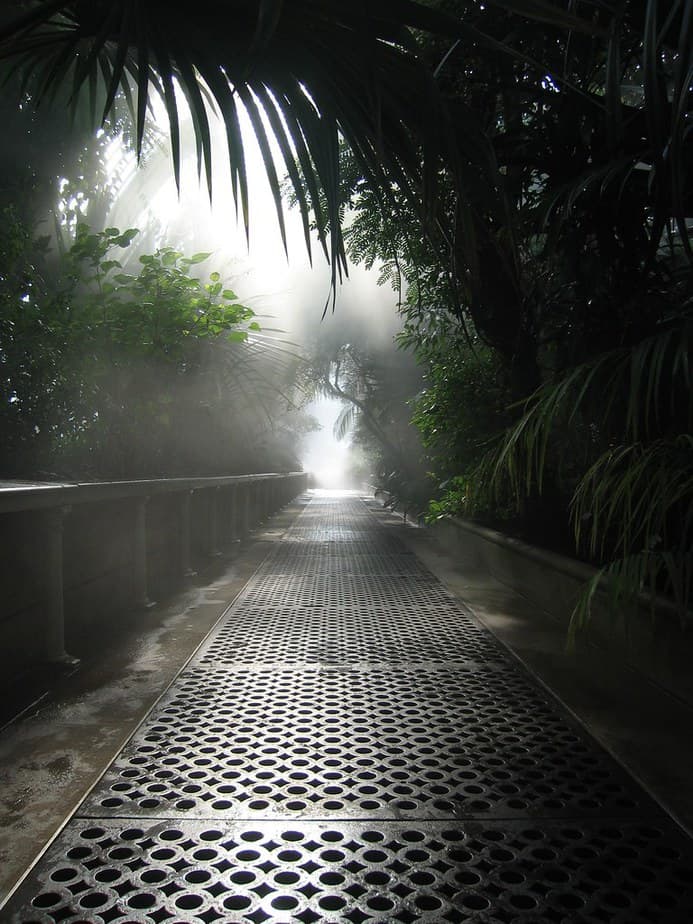 mist greenhouse