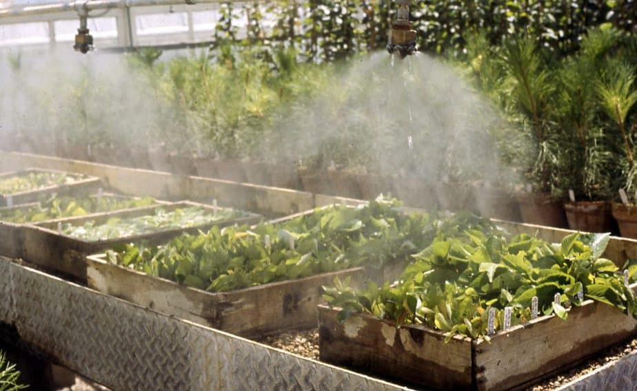 greenhouse misting systems