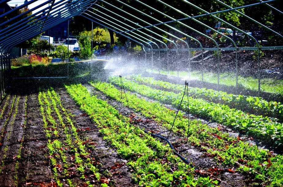 How to Build a Greenhouse Misting System Greenhouse Info