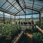 How to Keep Your Greenhouse Warm Without Electricity