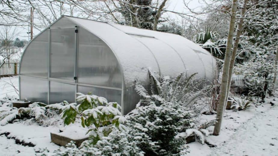 How to Get Your Greenhouse Ready for Winter Greenhouse Info