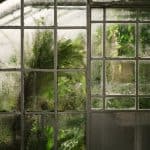 How to Grow a Winter Greenhouse
