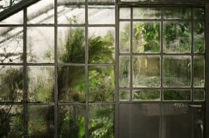 Read more about the article How to Grow a Winter Greenhouse