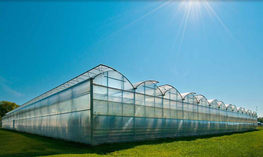 8 Types of Greenhouses to Consider Greenhouse Info