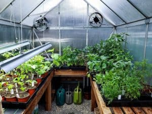 Greenhouse Auto Vent Maintenance and Repair