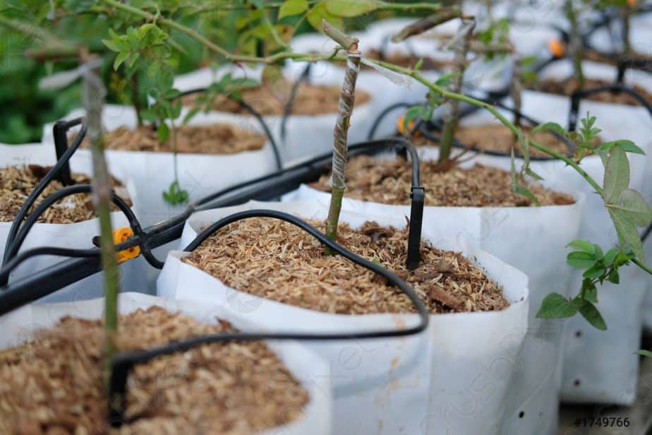 how to build Build a Drip Irrigation System for greenhouses
