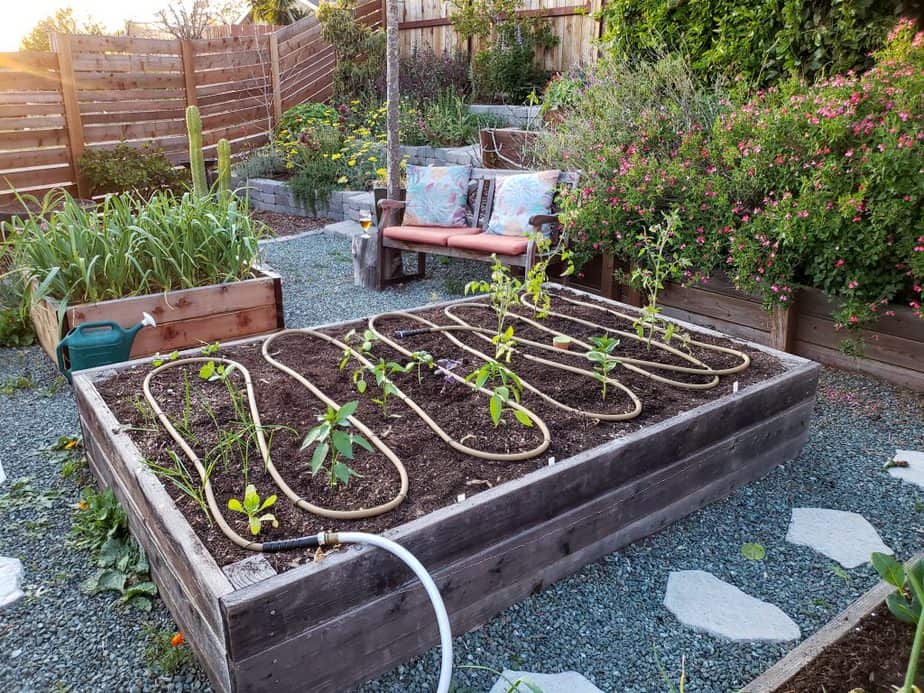 drip irrigating my greenhouse plants