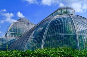 Gothic arch greenhouse type