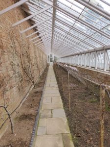 lean-to greenhouse type