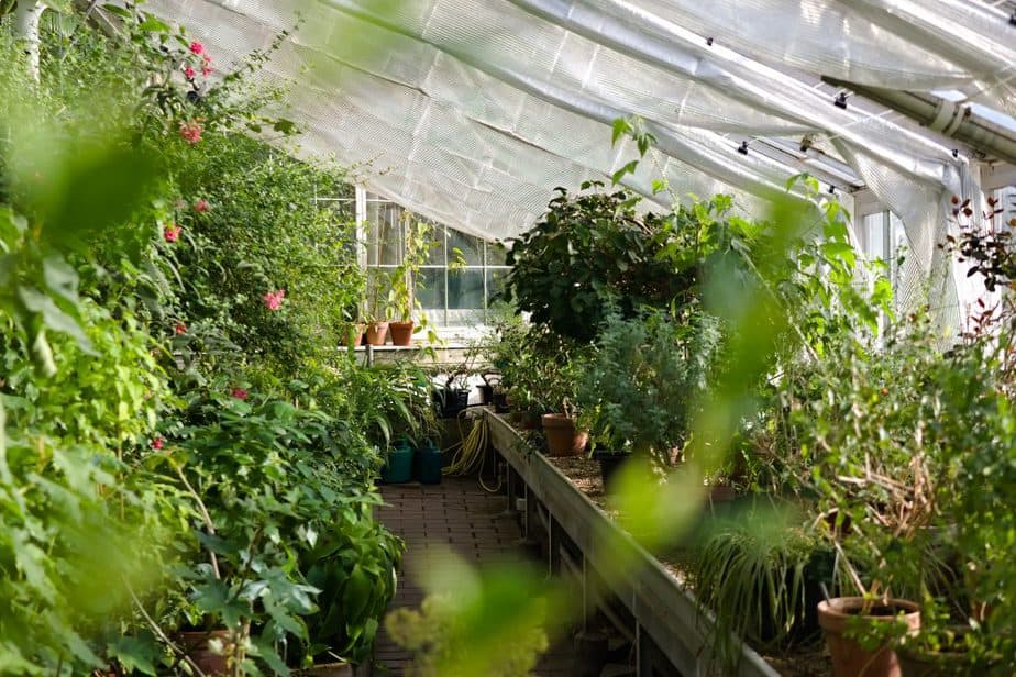 8 Types of Greenhouses to Consider - Greenhouse Info