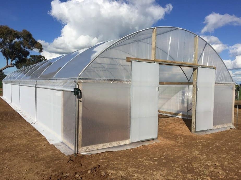 Read more about the article Pros and Cons of Polyethylene Plastic for Greenhouses