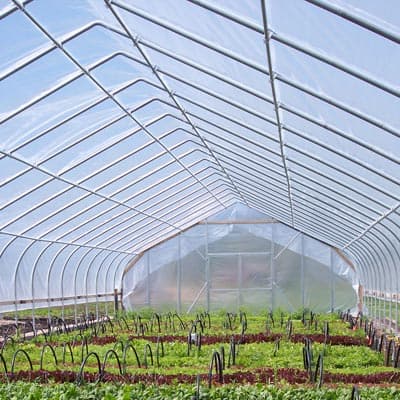 Pros and Cons of Polyethylene Plastic for Greenhouses