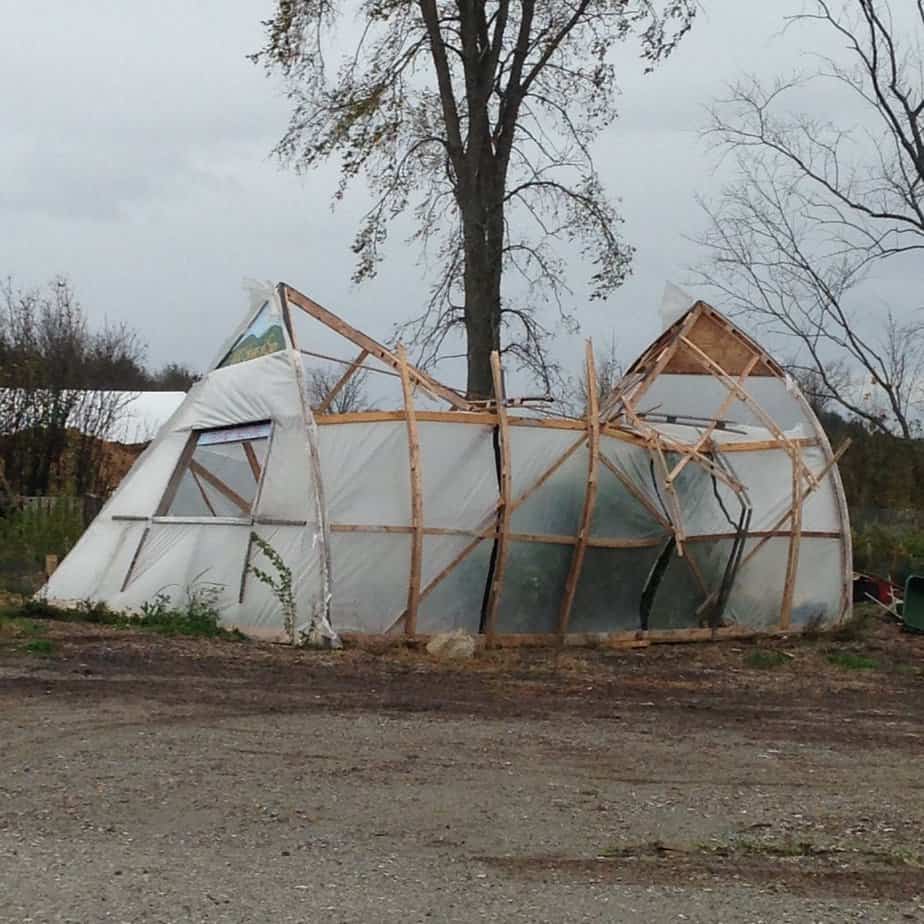 Preparing Your Greenhouse for Windy Weather