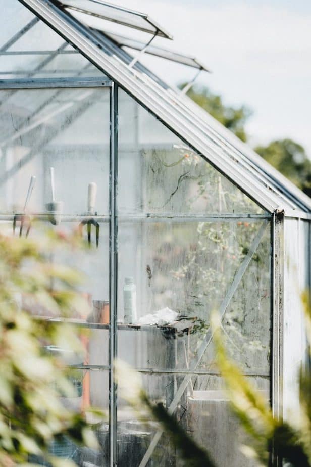 How to Choose The Ideal Greenhouse Kit for Your Needs