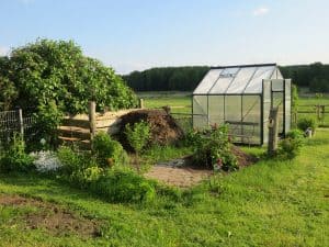 Read more about the article The 3 Best 4×8 Greenhouse Kits