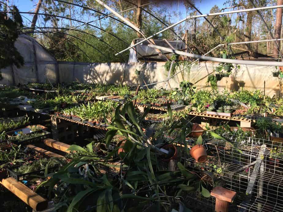 heavy wind greenhouse preperation